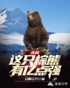 小说《无敌：这只棕熊有亿点强》TXT百度云_无敌：这只棕熊有亿点强