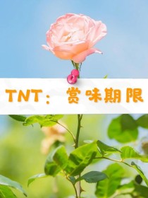 赏味期限txt忧杳_TNT：赏味期限