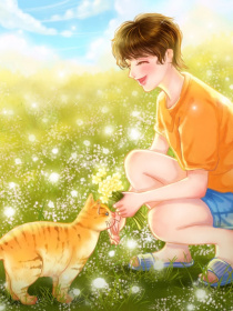 男主女主是刘云庭,王美芬,小童的小说是什么_先生你好，我是猫