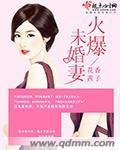 男主女主是叶琪,艾青,姚贝茜的小说是什么_火爆未婚妻