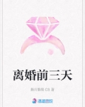 小说《离婚前三天》TXT百度云_离婚前三天