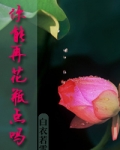 还能再花瓶点吗_你能再花瓶点吗