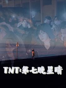 小说《TNT：第七晚星晴》TXT下载_TNT：第七晚星晴