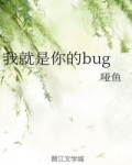 小说《我就是你的bug》TXT下载_我就是你的bug