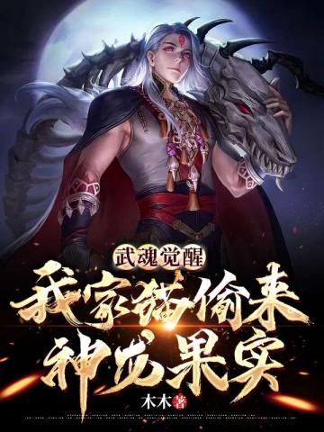 小说《武魂觉醒：我家猫偷来神龙果实》TXT下载_我家猫偷来神龙果实