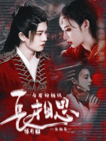 小说《与君初相识：长相思》TXT下载_与君初相识：长相思