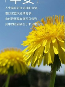 #梦石我还是去找‘避’玩,‘避’比‘轻’从小幸福,‘避'的爸妈很是疼爱她,她家有个姐姐和哥哥,在家里_追寻梦,谁能救赎？