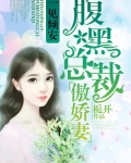 男主女主是林安,陈清,林静的小说是什么_一见倾安，腹黑总裁傲娇妻