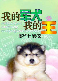 [小说]《我的军犬我的王》全集  作者：琰华七宝 简介:苦情版 被抛弃，被伤害，被背叛，当上天给予了第二次机_我的军犬我的王