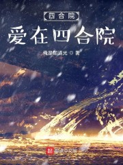 小说《四合院：爱在四合院》TXT下载_四合院：爱在四合院