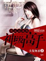 男主女主是王佳佳,郑莹,刘雅美的小说是什么_极品总裁的神级高手