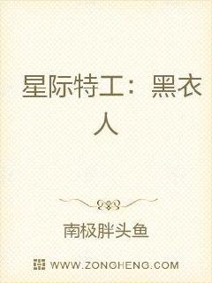 男主女主是陈风,苏若,余雁的小说是什么_星际特工：黑衣人