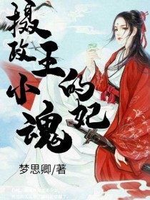 男主女主是凌寒玖,苏锦,锦云的小说是什么_摄政王的小魂妃