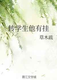 男主女主是成曜,刘因鸿,成晔的小说是什么_转学生他有挂