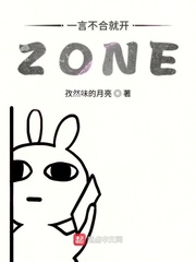小说《一言不合就开ZONE》TXT下载_一言不合就开ZONE