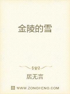 男主女主是黄芳婷,李媛,孙礼的小说是什么_金陵的雪