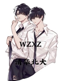 小说《WZXZ：清华北大》TXT下载_WZXZ：清华北大