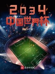 中国世界txt_2034中国世界杯