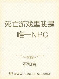 小说《死亡游戏里我是唯一NPC》TXT百度云_死亡游戏里我是唯一NPC