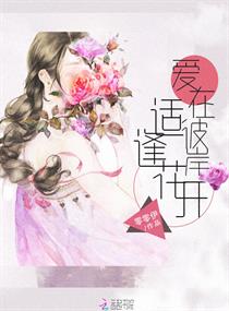 男主女主是沈川,韩东野,龙坤的小说是什么_爱在彼岸，适逢花开