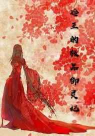 男主女主是傅玖宁,玖宁,傅明轩的小说是什么_冷王的极品御灵妃