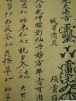 男主女主是龙夏,秦万里,龙晓晓的小说是什么_灵祖传说