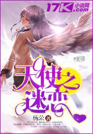 小说《天使之迷恋》TXT下载_天使之迷恋