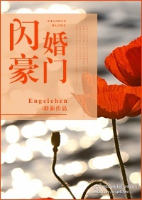 [小说][都市校园]《闪婚豪门》TXT全集下载（全本） 作者：Engelchen（晋江VIP）  扫雷： 1_闪婚豪门