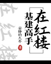 贾放贾代善《基建高手在红楼》_基建高手在红楼