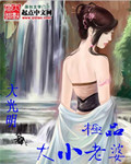 男主女主是李飞,萧峰,杨婉茹的小说是什么_极品大小老婆
