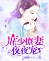 林雨萧子言《席少撩妻，夜夜宠！》_席少撩妻，夜夜宠！