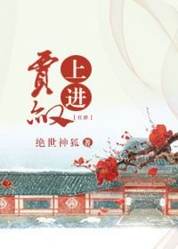 贾琏宝玉《红楼之上进贾赦》_红楼之上进贾赦