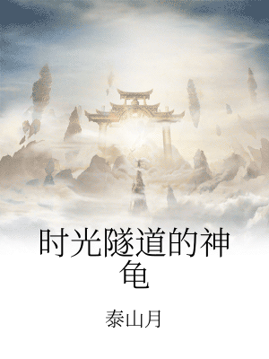 男主女主是腾海蛟,胡元庆,玉珍的小说是什么_时光隧道的神龟