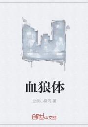 男主女主是潘金,刘辉,司徒美姬的小说是什么_血狼体