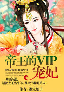 帝王的vip宠妃小说免费阅读_帝王的VIP宠妃