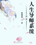 快穿人生导师系统 小说_快穿人生导师系统