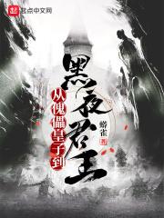 傀儡皇子到黑夜君王_从傀儡皇子到黑夜君王