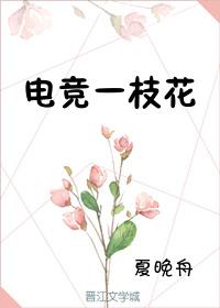 男主女主是宋子微,聂简桢,章少骐的小说是什么_电竞一枝花