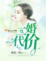 男主女主是杨毅,杨光,周姐的小说是什么_二婚代价