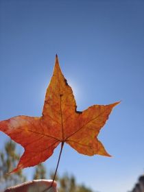 伴随着产房婴儿的啼哭，两位母亲脸颊上洋溢着汗水和微笑，十月怀胎的他们总算能够卸货啦，魏家的是男孩，李_春春无悔