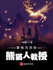 小说《霍格沃茨的熊猫人教授》TXT百度云_霍格沃茨的熊猫人教授