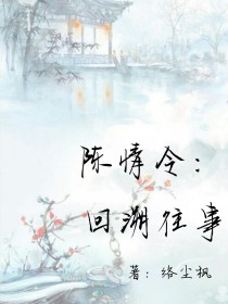 男主女主是江澄,金凌,蓝湛的小说是什么_陈情令：回溯往事