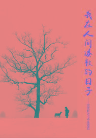 男主女主是佟湘玉,白展堂,展红的小说是什么_我在人间凑数的日子