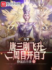 小说《斗罗：唐三刚飞升，二周目开启了》TXT下载_斗罗：唐三刚飞升，二周目开启了