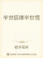 男主女主是泓庆,郭秉政,锦儿的小说是什么_半世狐缘半世情