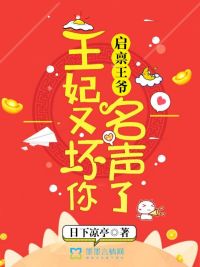 男主女主是宁政,珠儿,赵林的小说是什么_启禀王爷，王妃又坏你名声了