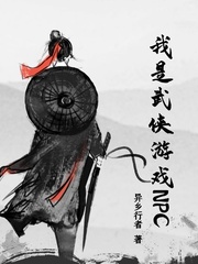 武侠游戏的npc小说_我是武侠游戏NPC