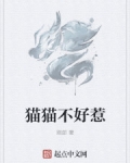 男主女主是潘江云,刘禾,阿风的小说是什么_猫猫不好惹