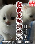 男主女主是肖岳轩,秦墨,徐阳的小说是什么_超级宠物制造池