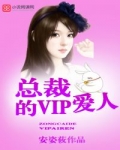 男主女主是沈婕,苏信晏,苏信伦的小说是什么_总裁的VIP爱人